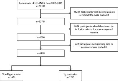 Association between serum Klotho levels and estimated pulse wave velocity in postmenopausal women: a cross-sectional study of NHANES 2007–2016